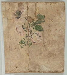 バンドボックスフラグメント